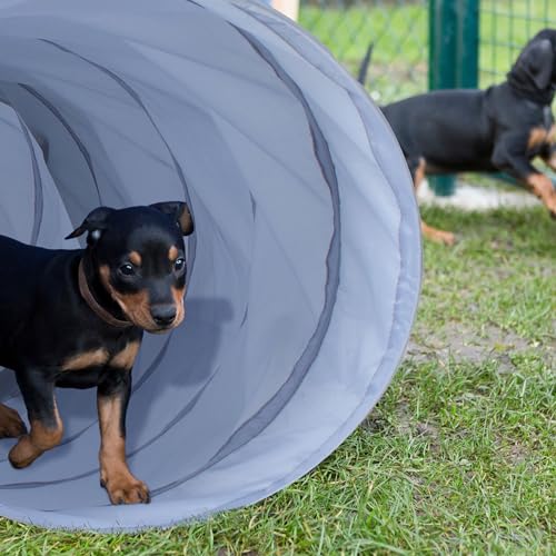 Relaxdays Hundetunnel, Spieltunnel für aktive Hunde, Hundetraining, 200 cm lang, Ø 40 cm, Faltbarer Agilitytunnel, grau