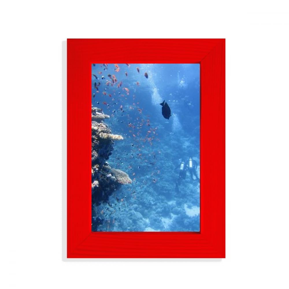 Cadre photo poisson rouge océan pour sublimer votre salon style cabinet de curiosités