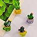Yqs Aimant de réfrigérateur Aimants for réfrigérateur Mignon Succulent Plant Aimant Bouton Cactus Réfrigérateur Message Autocollant Magn Home Decor Style aléatoire 1pc (Color : Style Random 1pc)
