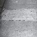 8th Avenue Poems