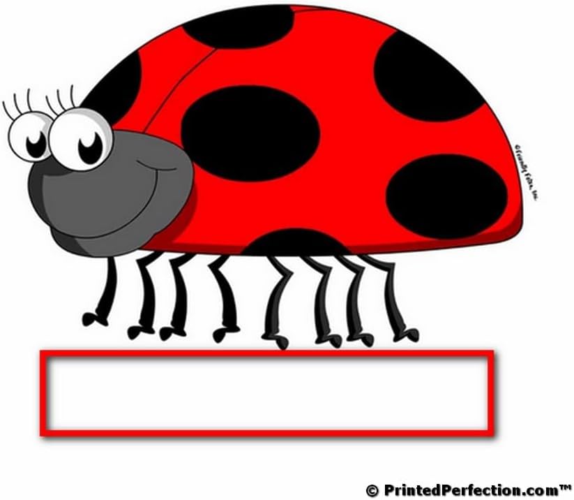 PrintedPerfection.com Personalized Friendly Folks Ladybug Memory, Keepsake Box