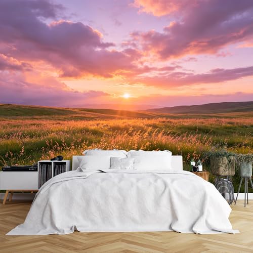 Papier peint sunset meadow panoramique 3D sur mesure pour deco salon - 2