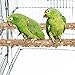 PINVNBY 3Pcs Bird Perches for Cage, Nature Wood Prickly Parrot Stand Toy Paw Grinding Stick for Small Medium Birds Parrot Parakeet Cockatiel Conure Cage Accessory