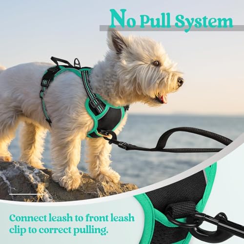 Image of rabbitgoo Dog Harness No Pull with 2 Leash Clips, Adjustable Soft Padded, Reflective Oxford No Choke Pet Vest with Easy Control Handle for Puppy, Black & Turquoise, XS