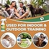 OAIEGSD 16oz Train Your Dog to Avoid Urine Marking in The House with This Spray #1