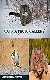  CATS: A PHOTO GALLERY (English Edition)