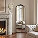 Micasso Bronze Full Length Mirror: 56''x21'' Traditional Ornate Vintage Floor Mirror - Baroque Antique Long Mirrors for Wall/Dressing Room/Bedroom/Entryway/Hallway - Home Decor for Living Room