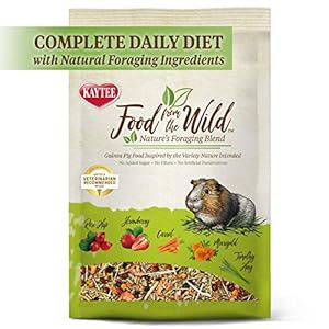 Kaytee Food from The Wild Natural Pet Guinea Pig Food 4 Pound