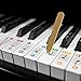 Color Piano Stickers w/Complete Notes on Grand Staff for 49/61 / 76/88 Keyboards