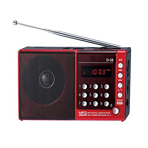 FM Stereo Radio, Digitales Radio MP3-Player-DSP-Radio Tragbares Radio TF-Karte