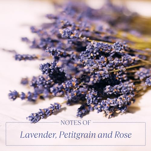 LOccitane-Cocon-de-Serenite-Solidarity-Hand-Cream-100-oz 515aBVSzBbL