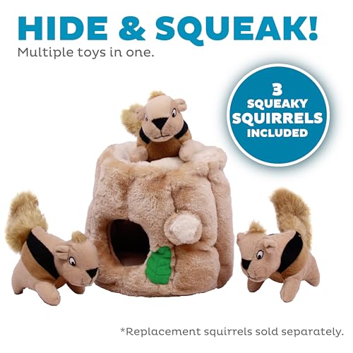 Image of Outward Hound Hide-A-Squirrel Plush Squeaky Dog Toy, Medium, 6.5 inch x 6.5 inch
