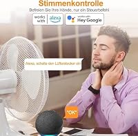 Jinvoo ZigBee Mehrfachsteckdosen, Intelligente Steckdosenleiste Überspannungsschutz, Sprachsteuerung, Home Assistant, 2MQTT, ZHA, Funktioniert mit Alexa Google – Ansicht 5