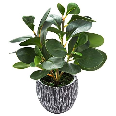 AlphaAcc Mini Potted Artificial Plants Real Looking Plastic Fiddle Leaf Fig Plant with Rustic Black Cement Planter for House Office Desk Decor Cover