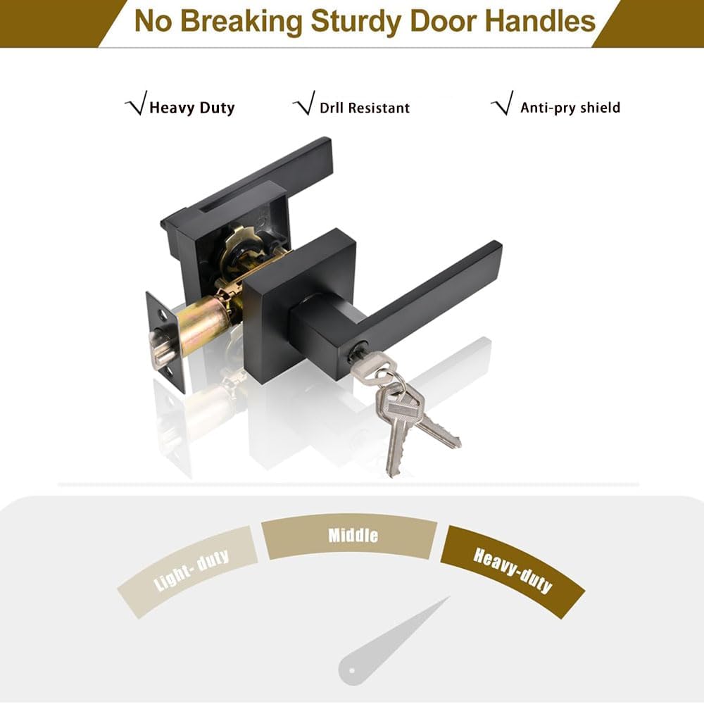 High-Security Stainless Steel Round Ball Door Handle with Lock & Key,Door Lever for Front Door, Bedroom, and Interior, Easy Installation(Black)