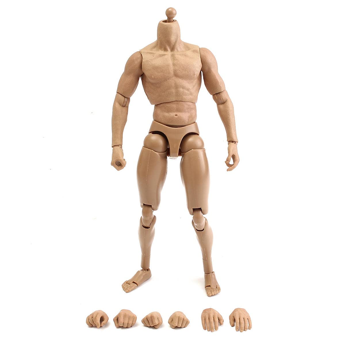 Amazon | TTM18 / 19用1/6スケールアクションフィギュア男性ヌード筋肉