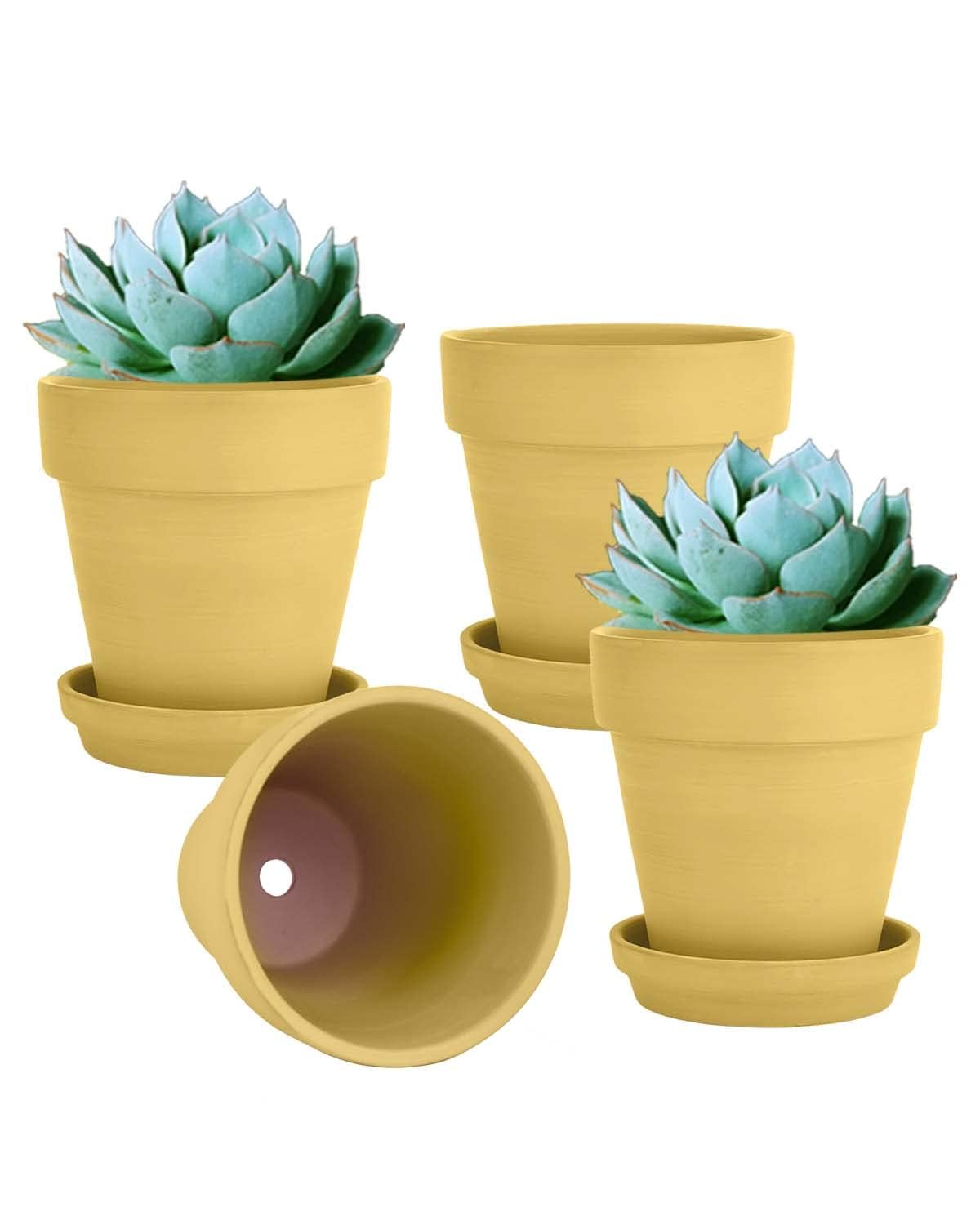 vensovo 6 Inch Yellow Terracotta & Clay Pots for Plant with Saucer - 4 Pack Medium Terra Cotta Planter with Drainage Hole, Flowerpot for Indoor Outdoor Plants, Crafts, Wedding Favor