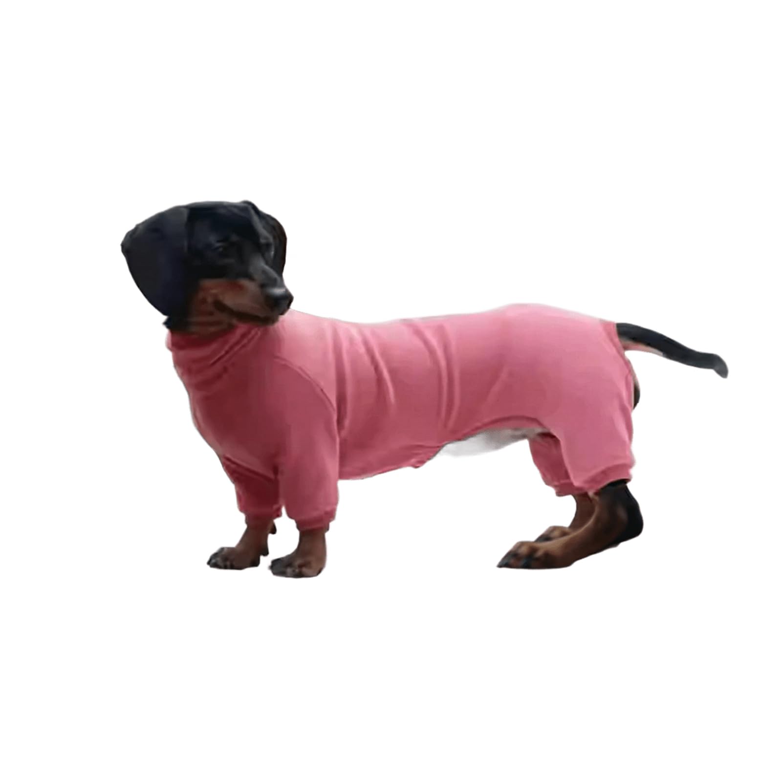 UOSIA Dachshund Clothes For Dog Fleece Warm 4-Leg Turtleneck Small Dog Onesie Pajamas Lightweight Soft Cozy Mini Dachshund Sweatshirt Sweater For Doggy