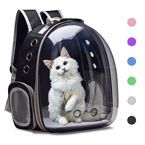Top 10 Best Cat Carrier Backpacks Cheap Comparison