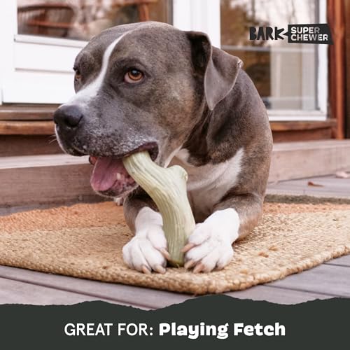 Barkbox Super Chewer Tough Dog Chew Toys for Aggressive Chewers, Dental Stimulating (Antler - Large) by Barkbox - Image 5