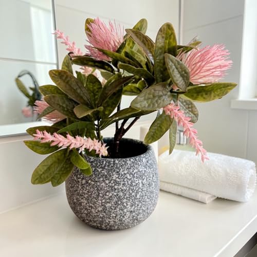 Image of Garden Art Artificial Protea Flower Arrangement in Decorative Dotted Pot - Realistic Faux Pink Protea Plant for Home, Office, Table & Shelf Decoration (P-0235Pink)