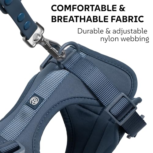 Dog Harness, Collar & Leash Set, Adjustable No Pull Harness with 3 Leash Clips, Waterproof Matching Collar & Leash, Breathable Comfort (Blue, Small) - Image 5