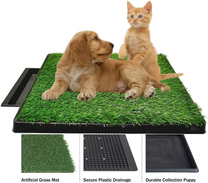 Potty Training Tray for Dogs, Black