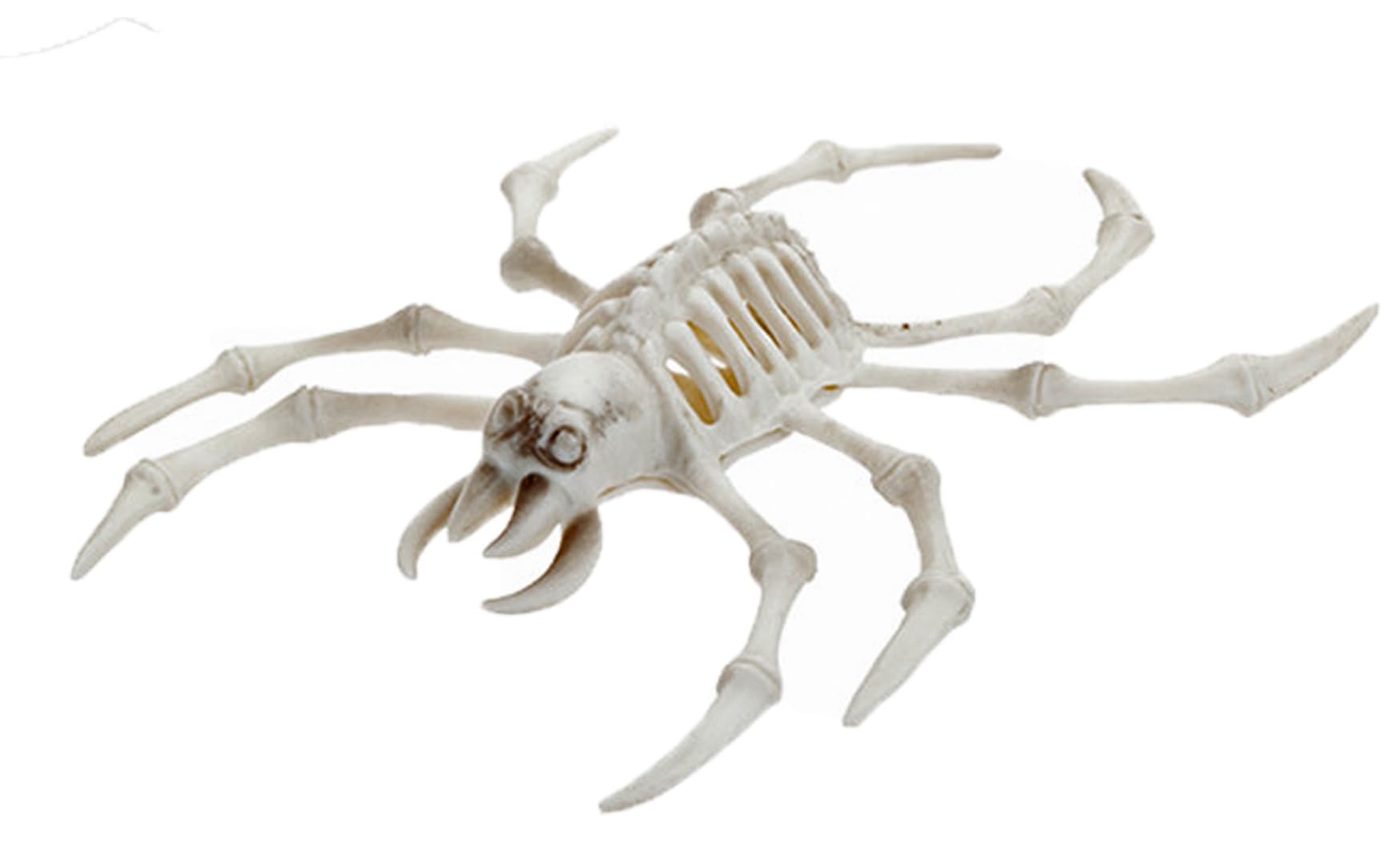 Quickdraw White Halloween Skeleton Decorations Animal Skeletons Spider Snake & Tarantula Creepy Scary Prop Decoration Realistic Bones Party Decor (Spider)