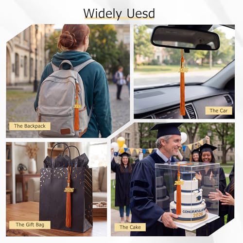 Image of GraduationMall Single&Multiple Color Graduation Tassel with 2026 Year Charm 9 inch