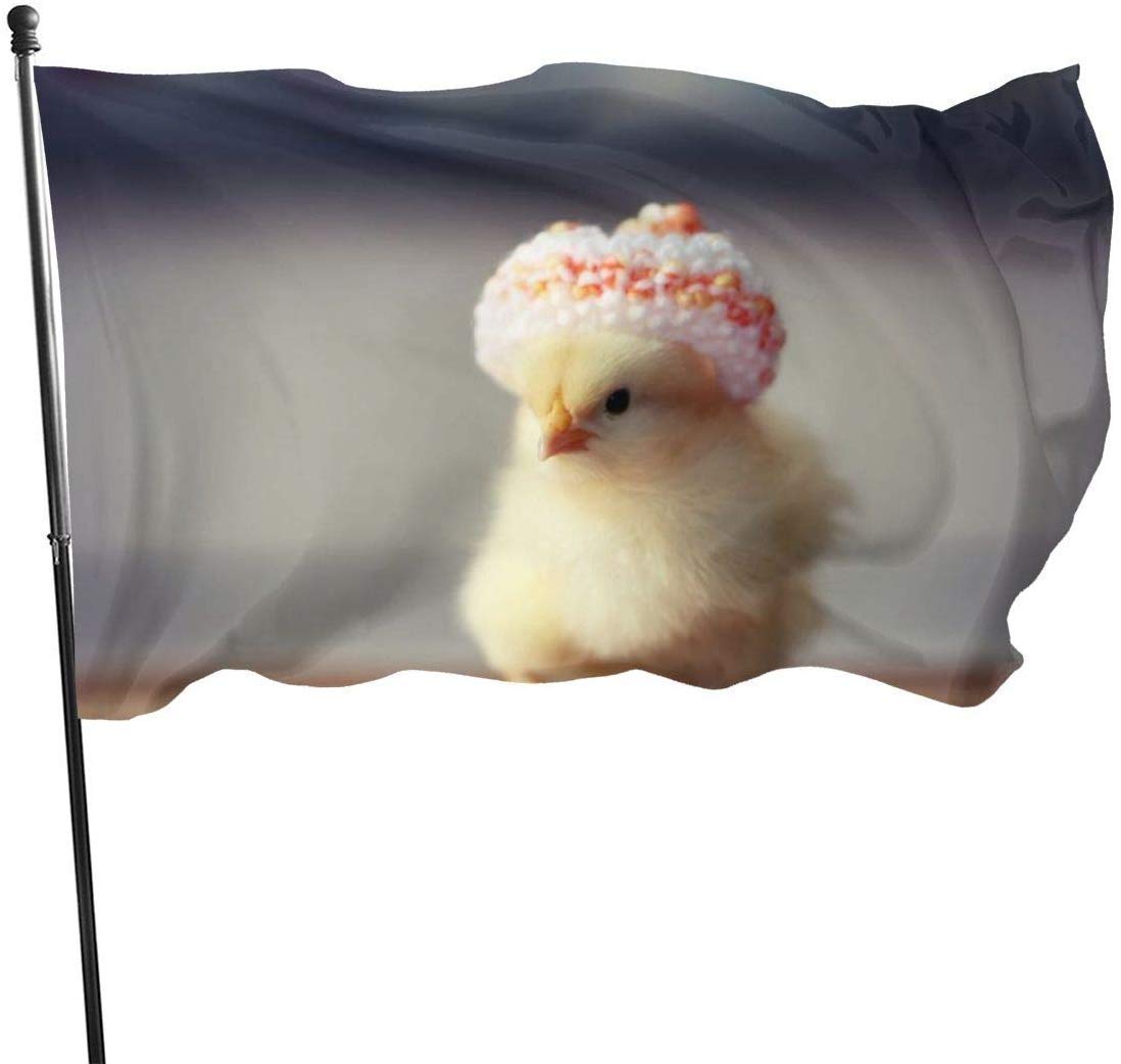 Garden Flag Patry Flag Outdoor Flag Garden Flag Funny Chicken Outdoor Yard Flag Wall Lawn Banner Home Flag Decoration 3' X 5'