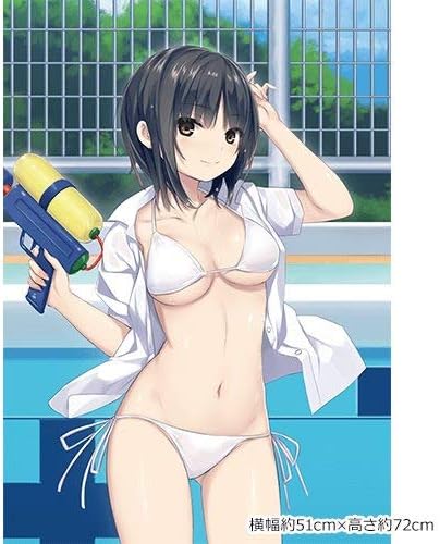 Amazon 珈琲貴族先生 青山澄香 プール 描き下ろしb2タペストリー 51cm 72cm アニメ 萌えグッズ 通販