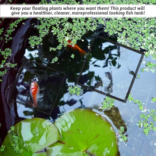 Image of Apausvcm 5 Pcs Fish Feeding Rings Set, Floating Aquarium Plant Corral 5 Sizes Square Fish Feeding Rings Fish Tank Aquarium Accessories for Bettas Goldfish Turtle (Black)
