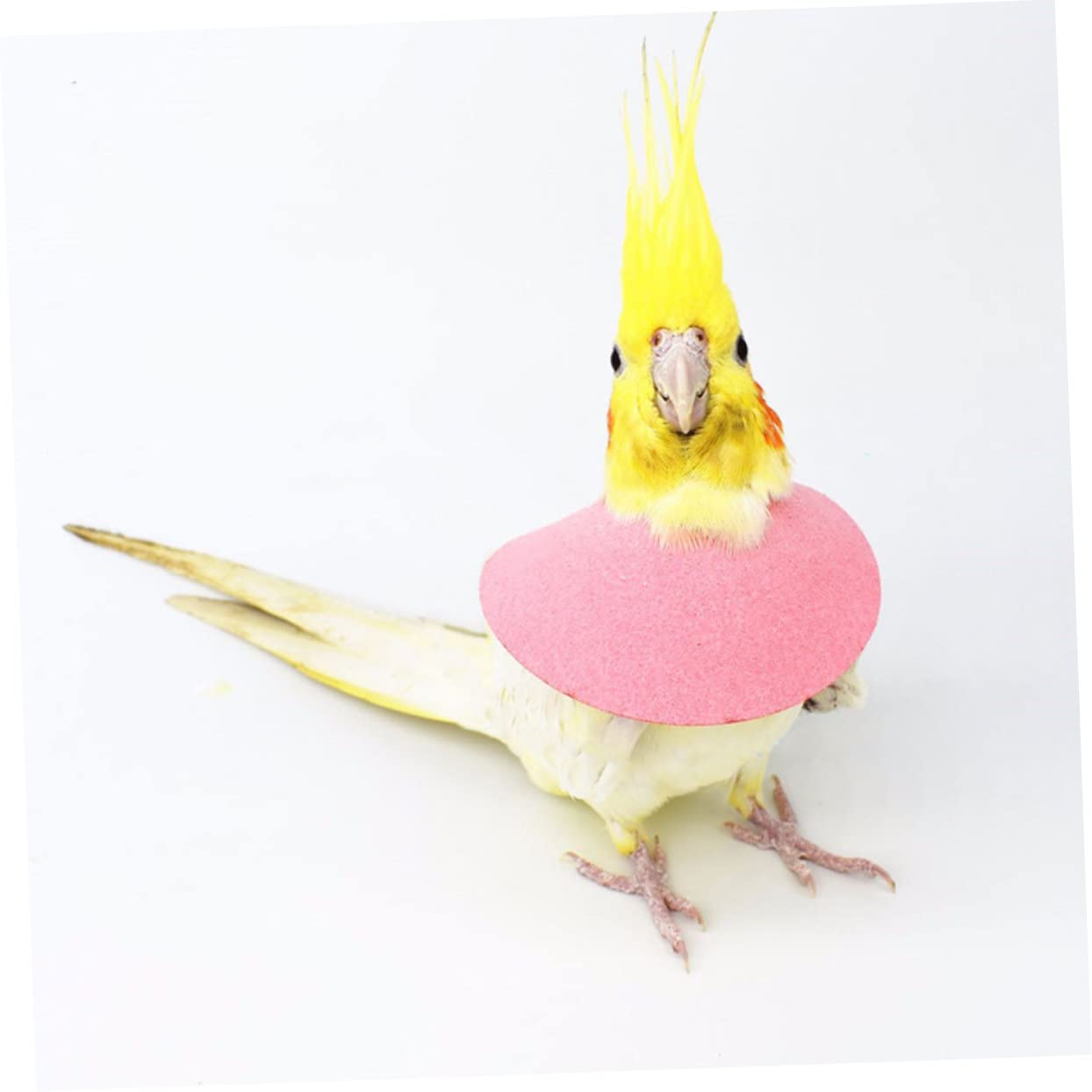 BCOATH 2sets Pet Bird Collar Plucking Prevention Multi-Purpose Neck Ring Soft Material 2pcs*2