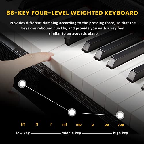 EROMMY Piano numérique avec 88 touches – Piano électronique portable avec pédale de sustain – 2 haut-parleurs stéréo de… - Les Beatles, Paul McCartney, John Lennon, RIngo Starr, George Harrison EROMMY Piano numérique avec 88 touches - Piano électronique portable avec pédale de sustain - 2 haut-parleurs stéréo de… – Image 4