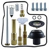 Carburetor Repair Kit Compatible with HONDA STEED 600 SHADOW VLX 600 1988-1997