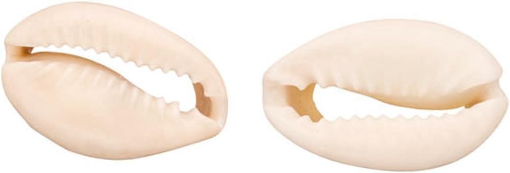 15-20mm Sliced-Back Cowrie Shell Beads 130Gram/pack (3-pack Value Bundle), SAVE $2