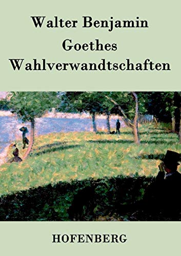 Goethes Wahlverwandtschaften [German] 3843025932 Book Cover
