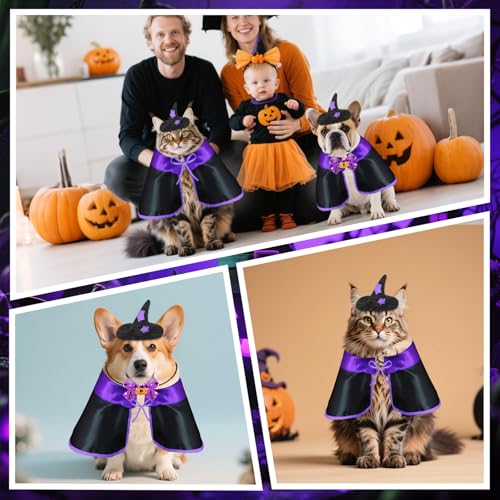 Disfraz Halloween para perros pequeño Bolake capa y sombrero miniatura 5
