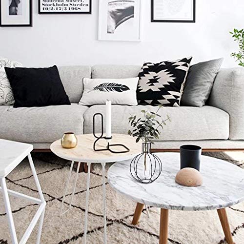 Metal Frame Vase Tube Glass Planter Terrarium With Geometric Black Metal Stand,Office Desktop Home & Office Decor Handmade (Sphere) #TOP4