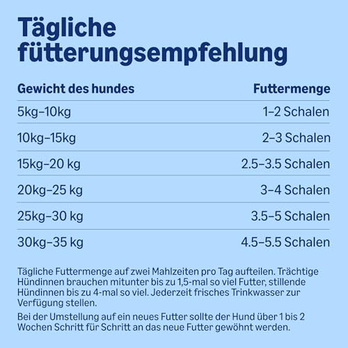 Lifelong by Amazon Hundefutter, nass, Pastete mit Huhn und Gourmet-Kern mit Karotten und Nudeln, 300 g, 10 Stück