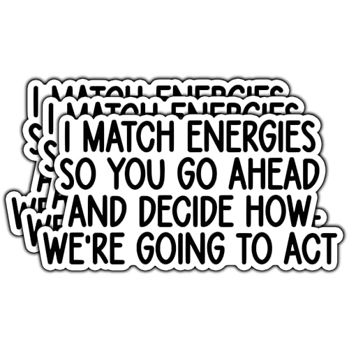 (3Pcs) I Match Energies So You Go Ahead and Decide