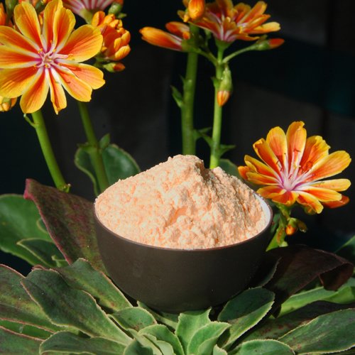 Acerola Pulver mit 17% natürlichem Vit. C 500g