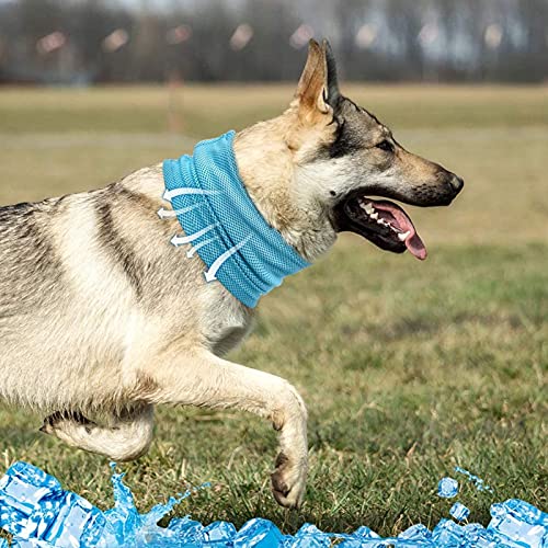 Kühlhalstuch für Hunde, kühlendes Hundehalsband, Sommerhalsband, Bandana, hält die Tiere kühl
