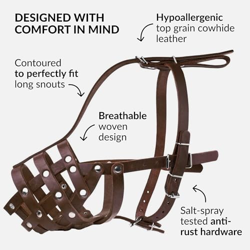 CollarDirect Maulkorb für Hunde, Deutscher Schäferhund, Dalmatiner, Dobermann, Setter, Lederkorb, mittelgroß, für große Rassen, Schwarzbraun (M, Kastanienbraun)
