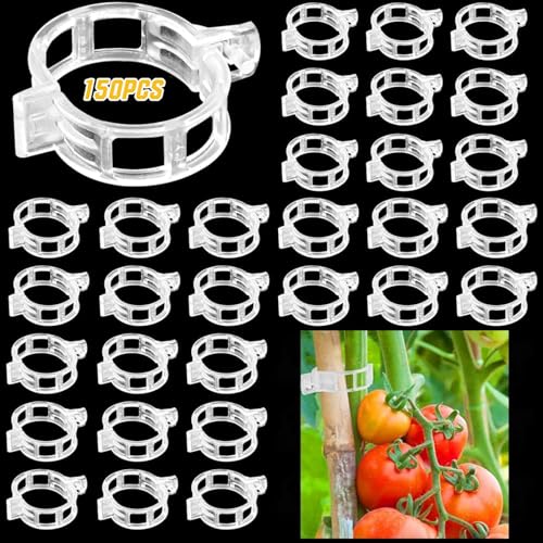 Komzlait 150 PCS Secured Plastic Plant Clip, Plant Support Clips, Garden Clips for Climbing Plants, Plastic Trellis Clips Plant Support Clips Tomato Grape Vine Vegetables Plant Fixing Clips…