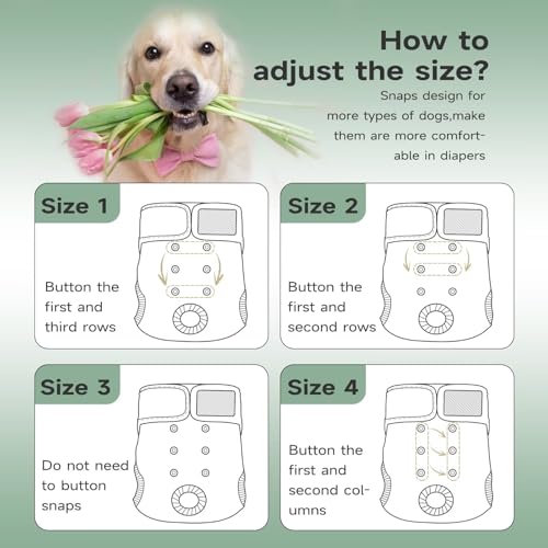 Image of Paw Legend Washable Reusable Female Dog Period Diapers for Heat Doggie Puppy Diapers for Female Dogs (3 Pack,X-Small)