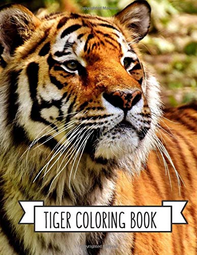 Tiger Coloring Book: Coloring Toy Gifts for Kids or Adults | Cute Easy and Relaxing Realistic Animal Large Print Birthday Gifts