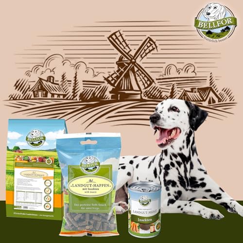 Bellfor Futterset für Dalmatiner Hochwertige Hypoallergenes Getreidefreies Nassfutter 400 g und Trockenfutter mit Insekten 2,5 kg mit Soft-Snacks 200 g