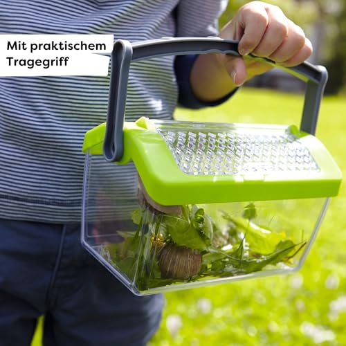 HABA Terra Kids Insektenbox – Naturforschung für Kinder ab 6 Jahren, robuste Beobachtungsstation aus Kunststoff mit Tragegriff und… – Ansicht 3