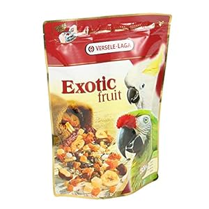 Versele-laga Frutas Exóticas para Loro – 600 g